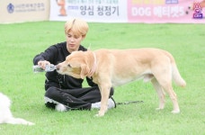 방탄소년단 지민 ♎ | Bts dogs