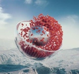 C4D에 관한 11개의 최상의 Pinterest 이미지 | 3d 아트, 그래픽 및 움직이는 그래픽 C4D