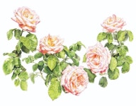 색연필 1 (colored pencil)에 있는 핀