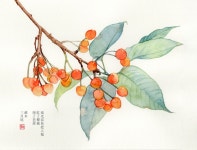 Pin by 바울라 on 수업 in 2023 | Watercolor flower art, Watercolor art, Diy art painting