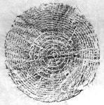 t117 B texture 임수현 45