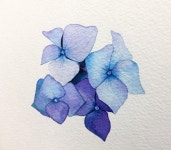 #수국 #그리기 #물맛 #그림 #꽃 #꽃그림 #수채화 #감성수채화 #수채일러스트 #수채화일러스트 #물맛 #힐링 #취미 #일러스트... 