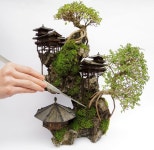 Pin page Pin on 공예정원 | Indoor bonsai tree, Bonsai tree care, Indoor bonsai