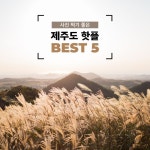 캔바 템플릿 | 제주도 여행 추천 인스타그램 템플릿