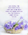 보라 인내하는 자를 우리가 복되다 하나니… #성경 #성경구절