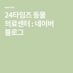 24타임즈 동물 의료센터 : 네이버 블로그 | 블로그, 레시피