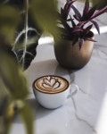 #Café #Coffee | 커피