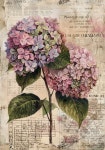Pin by Paran Jaju on 꽃 in 2024 | Decorative prints, Paper crafts diy, Paper crafts