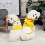 오리 후드티 | Pet fashion, Pets, Animals