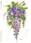 FLOWERS에 관한 794개의 최상의 Pinterest 이미지 | 식물, 아름다운 꽃 및 Garten FLOWERS