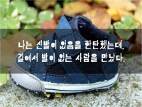 감사명언 고마움명언 오늘의명언 좋은글 | 행복한 생각, 웃긴