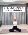 요가 운동에 있는 핀