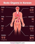 When you dont feed your bae 배, your 배 (ba... - #ba #Bae #don39t #feed #korean #배 | Griechisch lernen, Griechische wörter... 
