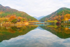 서성제 다리 by tyflow