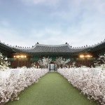 wedding)님: _ 영빈관 안뜰에 벚꽃이 화사하게... 신라웨딩 #영빈관 #웨딩베뉴 #럭셔리웨딩… 신라호텔 웨딩 on Instagram: “_ 영빈관... 