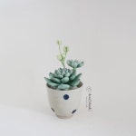 dear[blank]에 있는 핀