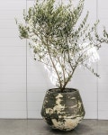 Pin by 충섭 김 on 화분 | Rustic planters, Planters, Large planters