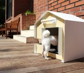 Together Design (투개더디자인)    Industrial house     A companion house    인더스트리얼 디자인   반려동물 하우스    반려동물... 