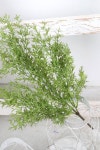 굿모닝리빙 허브 플랜테리어 wild herb bush