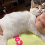 무념무상 아따와 목이 아픈 집사를 공개합니다❣️ - - 유기동물 간식기부를 위한  안아줄개챌린지  뭐먹냥 이... 