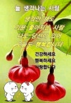 사랑 카드에 있는 신원 이님의 핀 | 아침 인사, 아침 인사 인용구, 고급 꽃
