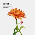 Pin de 인서 주 en 국화