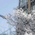(秀)수헤어샾 | ⠀⠀#𝖻𝖾𝖺𝖼𝗁ㅤㅤ🍏ㅤㅤ.ㅤㅤ[ㅤ𝖼𝗈𝗋𝖾ㅤ]ㅤㅤ𝘀𝘂𝗻ㅤㅤ𓇼