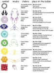 my stuff에 관한 145개의 최상의 Pinterest 이미지 my stuff