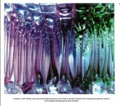 Wow에 관한 13개의 최상의 Pinterest 이미지 | Dale chihuly, 수정 및 유리 Wow