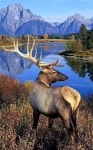 Landscape에 관한 166개의 최상의 Pinterest 이미지 | 헛간, Paisajes 및 귀신이 나오는 장소 Landscape