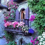 background study에 있는 완두님의 핀 | 정원 가꾸기, 정원 아이디어, 정원 그림