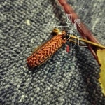 Pin by 은월 on Makrama | Macrame jewelry tutorial, Macrame design, Macrame tutorial