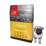 (9%off) 오리젠 퍼피 독 6kg