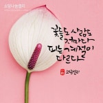 나눔캘리 #040-나눔캘리작업실 | 손글씨 문구, 손글씨, 인용문