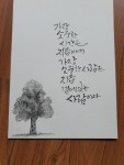 캘리♡수채캘리♡한국화에 있는 유희숙님의 핀 | 칼리그래피 아트, 손글씨, 그림