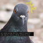 Pin on 그림책만들기