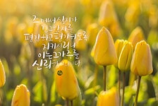 [단비의 만나말씀 #14]  주께서 심지가 견고한 자를  평강하고 평강하도... 속에서도 평강이 넘치는 하루 보내세요^^   마음과 영혼을 적시는... 