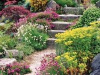 Garden Maintenance Dublin Gardening Maintenance Services | 정원