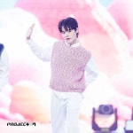 Petch (펫)