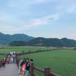 ［순천 여행］1박2일 순천여행 코스-청춘창고,낙안읍성,국가정원,순천만 습지,스카이 큐브 | 여행, 탑승권, 버스 터미널