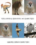 Pin by 사고뭉치 on 사고 in 2024