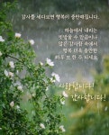 Pin page 감사와 기쁨으로 -감사와 안부, 감사의 힘-#joyandgratitude #감사와기쁨으로에 있는 Mi Eun Kim님의 핀 | 감사 일기, 애도... 