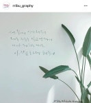 캘리에 있는 Fxpeng님의 핀 | 패턴