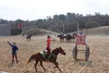 제주도  더마파크 말과 함께 공연하는 곳 | 역사