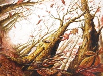 2016 그림에 있는 관악구 크림미술학원 신림본원님의 핀 | 그림