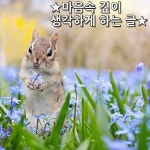 말갛던 거울때가 끼니 보기 싫네.  한번 보기싫으니 자꾸 보기 싫네. 한번 마음먹는 것이 참 중요하네. 한번 마음먹기에 따라 세상이 좋아지고... 