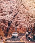 남산공원 Namsan Park, Seoul, South korea landscape | Seoul, South korea, Han river