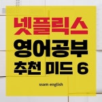 쌤영어연구소|Sam Yun on Instagram: “📺넷플릭스로 영어공부 추천 미드!프렌즈,모던패밀리 말고 재미있는 미드가 궁금하다면?!🧐”