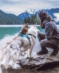 당신은 이제까지 같은 느낌을 당신은 당신의 개를 사랑 너무 많은? in 2020 | Dog breeds, Hiking dogs, Dog adventure