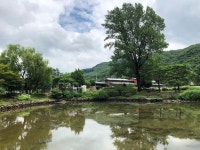 물놀이 + 바베큐 + 동물체험 + 옥수수체험 + 펜션 을 한곳에서 . . . . #물놀이장  #50주년  #서운동산  % | Canal, Structures